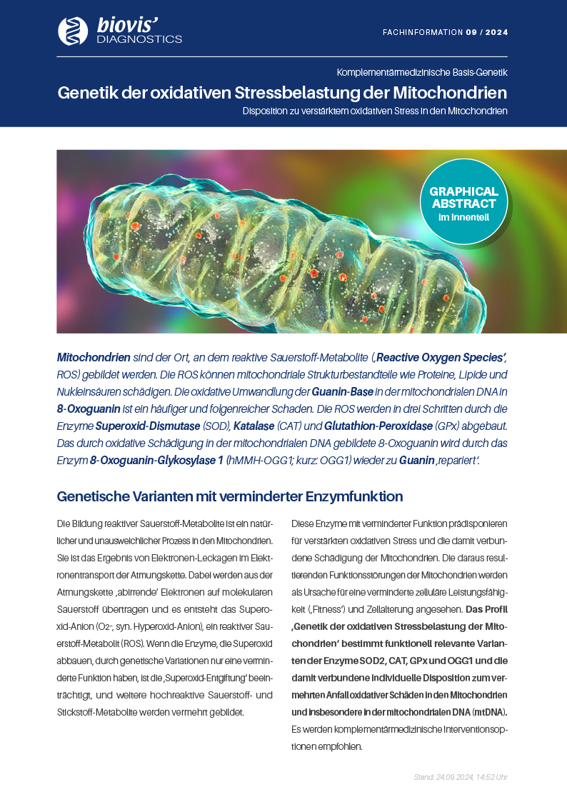 Mitochondriale Aktivität